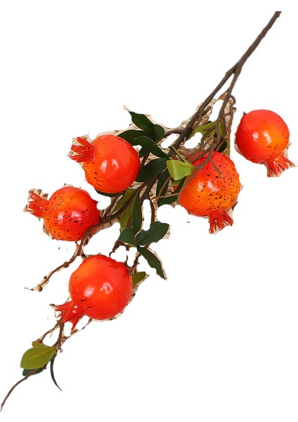 Simülasyon Nar Meyve Zenginlik Meyve Dalları (Yurt Dışından)