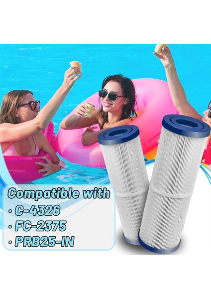C-4236, FC-2375, Yüzme Havuzu Filtresi Için 2 Spa Spa Seh Kutu Yedek Filtresi Için PRB25-IN Filtresi (Yurt Dışından) fırsatları