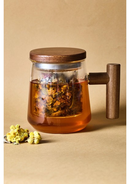 Herby 500ML Cam Süzgeçli Kupa fiyatları