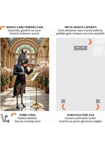 Stradizebra Cam Tablo fırsatları