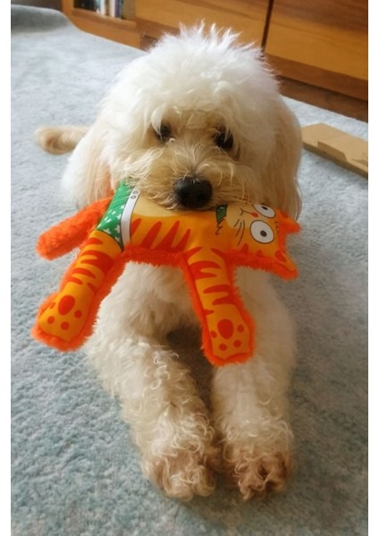 Mihav Sesli Köpek Oyuncağı | Vikvik ve Hışırtılı Turuncu Kedi Şekilli Aktivite Oyuncağı