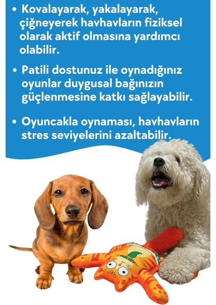 Mihav Sesli Köpek Oyuncağı | Vikvik ve Hışırtılı Turuncu Kedi Şekilli Aktivite Oyuncağı