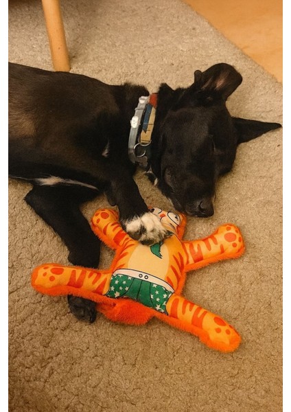 Mihav Sesli Köpek Oyuncağı | Vikvik ve Hışırtılı Turuncu Kedi Şekilli Aktivite Oyuncağı