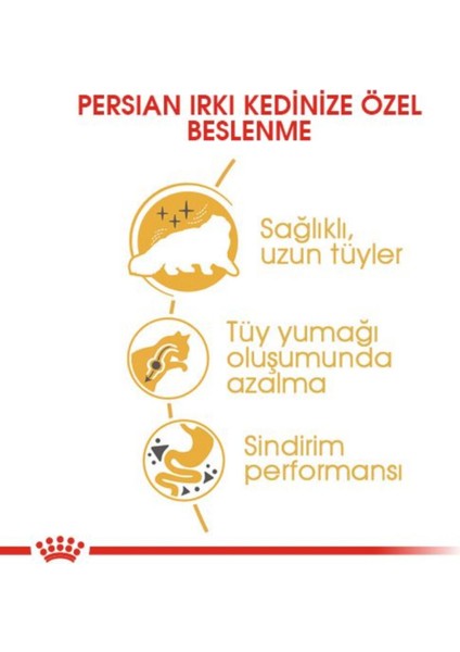 Persian Iran Kedilerine Özel Mama 400 Gr x 2 Adet modelleri