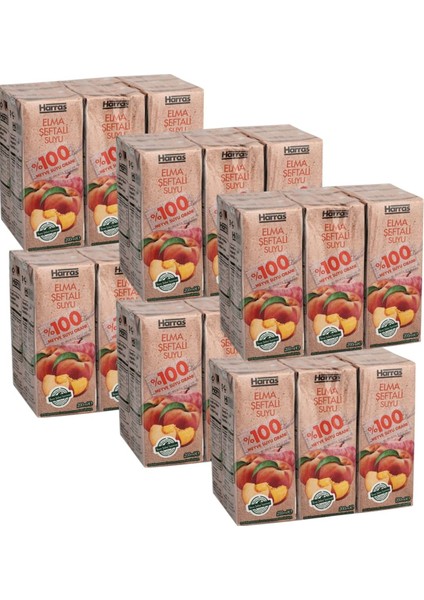 Elma Şeftali Suyu %100 Meyve Suyu Oranı Şeker Ilavesiz 36 Adet x 200 ml modelleri