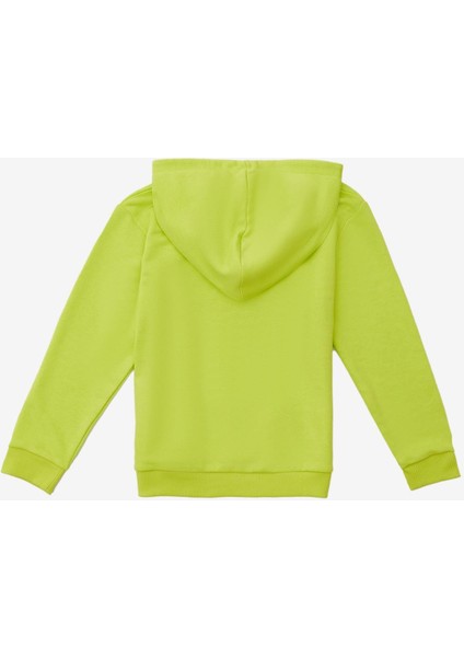 Erkek Çocuk Kapüşonlu Sweatshirt modelleri