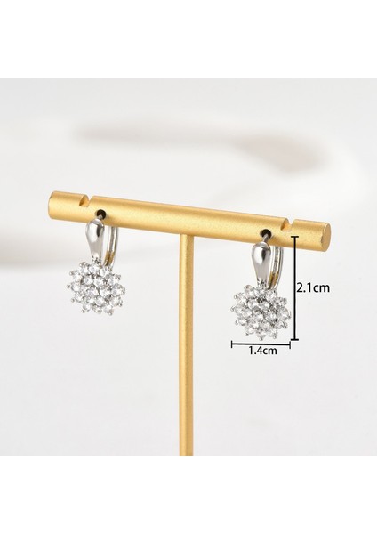 EHSF2478 Zirkon Taşlı Gümüş Kar Tanesi Kadın Küpesi (Yurt Dışından) fiyatları