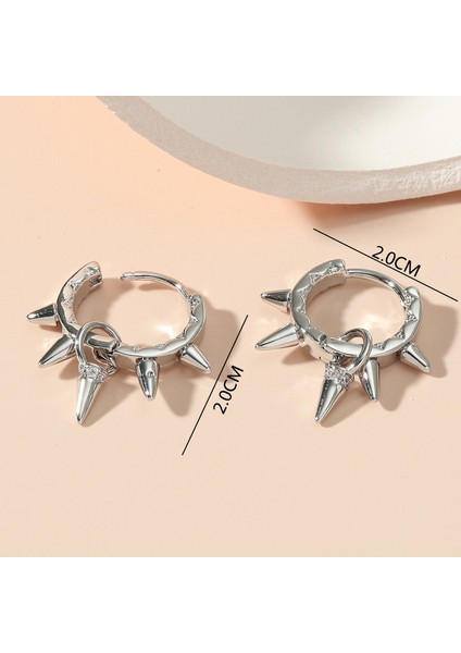 DE2425 Gümüş Zirkon Taşlı Kadın Küpeleri (Yurt Dışından) fiyatları