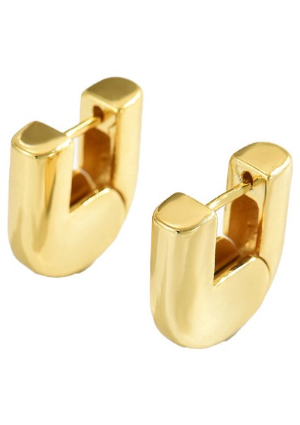 AEH70227 Altın U Şeklinde Kadın Küpeleri (Yurt Dışından)