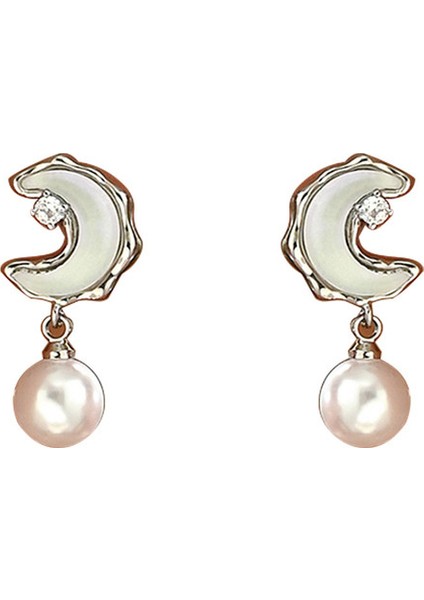 EH4860 Gümüş Menisküs Inci Işlemeli Kadın Küpeleri (Yurt Dışından)