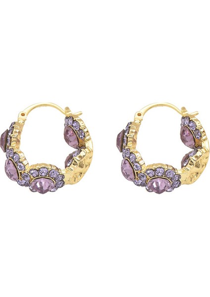 EH4871-4 Altın Tonlarında Mor Zirkon Taşlı Kadın Küpeleri (Yurt Dışından)