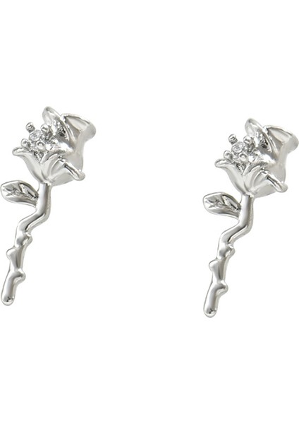 EH4584 Zirkon Taşlı Gümüş Çiçek Küpe (Yurt Dışından)