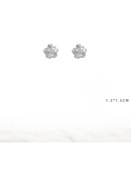 EH4754-5 Gümüş Çiçek Desenli Kadın Küpeleri (Yurt Dışından) fiyatları