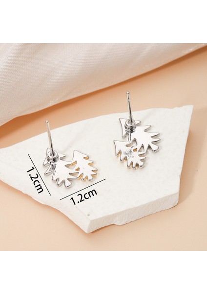 EHSF2356 Gümüş Çam Asimetrik Tasarım Kadın Küpeleri (Yurt Dışından) fiyatları