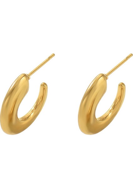 EH4739-7 Altın C Harfi Kadın Küpeleri (Yurt Dışından)