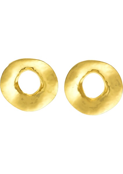 EH4753-15 Altın Halkalı Içi Boş Tasarım Kadın Küpeleri (Yurt Dışından)