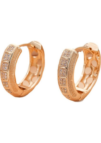 EHSF2353 Altın Içi Boş Daire Zirkon Kadın Küpeleri (Yurt Dışından)