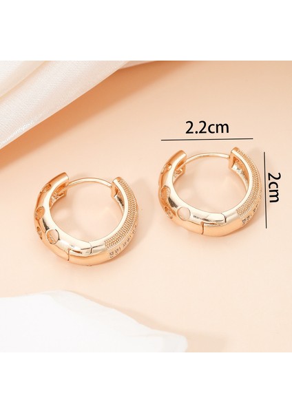 EHSF2353 Altın Içi Boş Daire Zirkon Kadın Küpeleri (Yurt Dışından) fiyatları