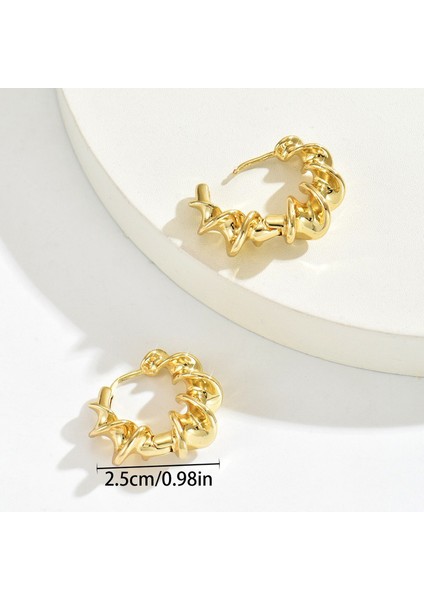 EH5070 Altın Geometrik Büküm Tasarım Kadın Küpeleri (Yurt Dışından) fiyatları