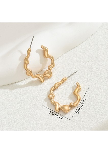 EH4739-8 Altın Geometrik Pileli Çizgili Kadın Küpeleri (Yurt Dışından) fiyatları