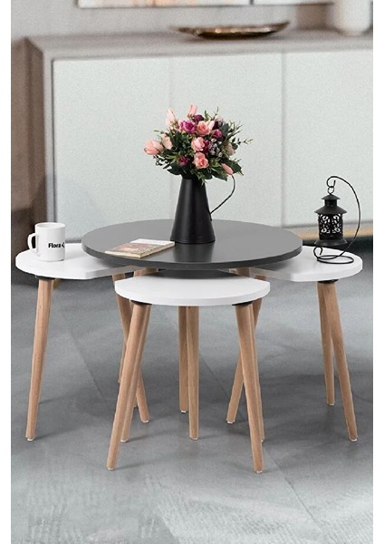 Pissa / Orta Sehpa / Sehpa Seti / Sehpa Takımı / 5 Parçalı Sehpa Seti