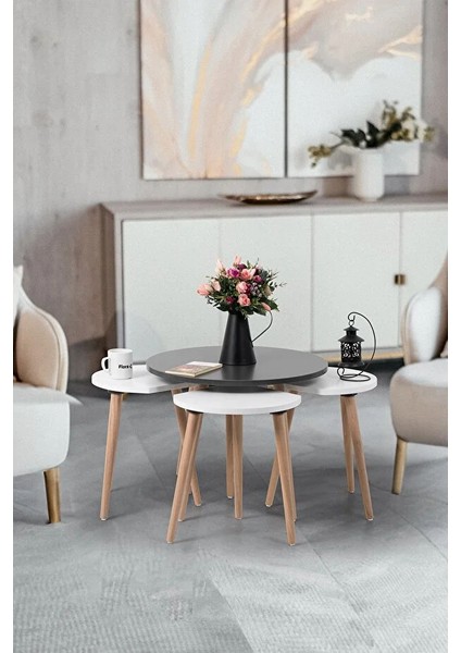 Pissa / Orta Sehpa / Sehpa Seti / Sehpa Takımı / 5 Parçalı Sehpa Seti fiyatları