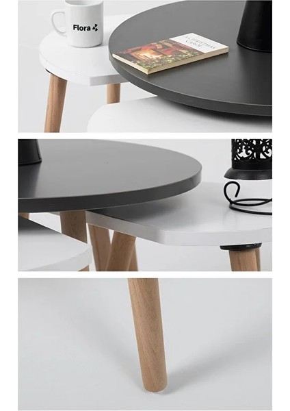 Pissa / Orta Sehpa / Sehpa Seti / Sehpa Takımı / 5 Parçalı Sehpa Seti modelleri