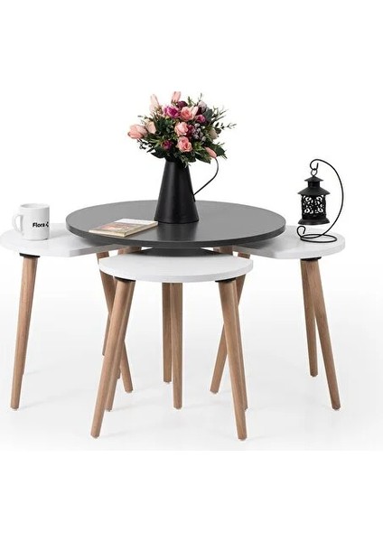 Pissa / Orta Sehpa / Sehpa Seti / Sehpa Takımı / 5 Parçalı Sehpa Seti fırsatları