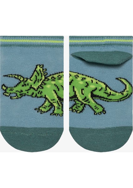Erkek Çocuk Big Dino Çok Renkli 4lü Patik Çorap