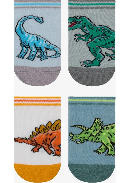 Erkek Çocuk Big Dino Çok Renkli 4lü Patik Çorap