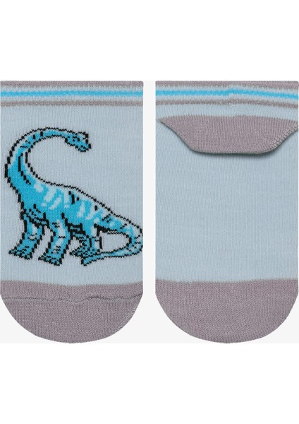 Erkek Çocuk Big Dino Çok Renkli 4lü Patik Çorap