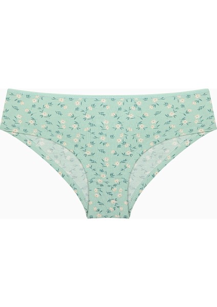 Daisy Day Pamuklu 3lü Çok Renkli Hipster Külot