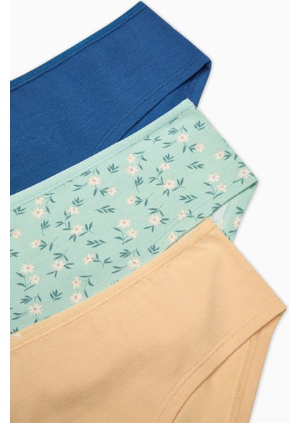 Daisy Day Pamuklu 3lü Çok Renkli Hipster Külot