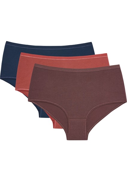 Karışık Renk Terra 3'lü Yüksek Bel Slip Külot