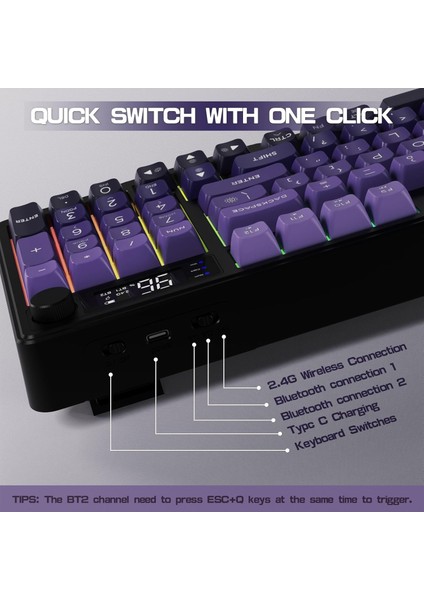 Freewolf M96 2.4g Bt5.0 Çift Bağlantılı Tft LED Ekranlı Reinbow Gaming Oyuncu Klavye