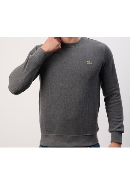 Bisiklet Yaka Dar Kesim Antrasıt Erkek Trıko