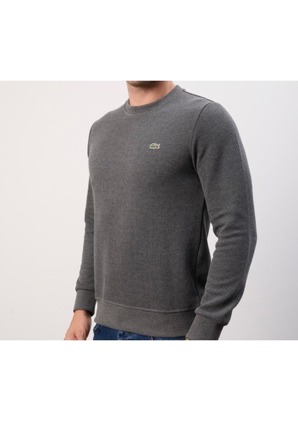 Bisiklet Yaka Dar Kesim Antrasıt Erkek Trıko modelleri