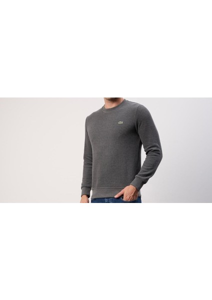 Bisiklet Yaka Dar Kesim Antrasıt Erkek Trıko fırsatları