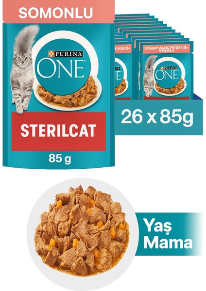 One Pouch Kısır Somon Kedi Yaş Mama 85 gr - 26