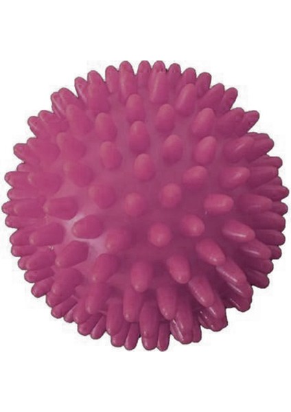 3'lü Duyu Uyarıcı Sert Dikenli Masaj Topu El Ayak Vücut Egzersiz Fizik Tedavi fırsatları