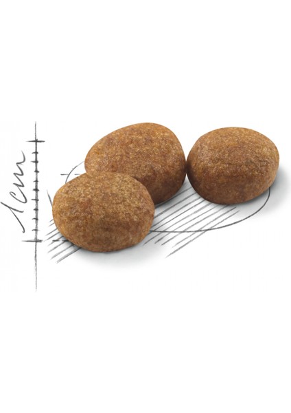 Sterilised 37 Kısırlaştırılmış Yetişkin Kedi Maması 1 fiyatları