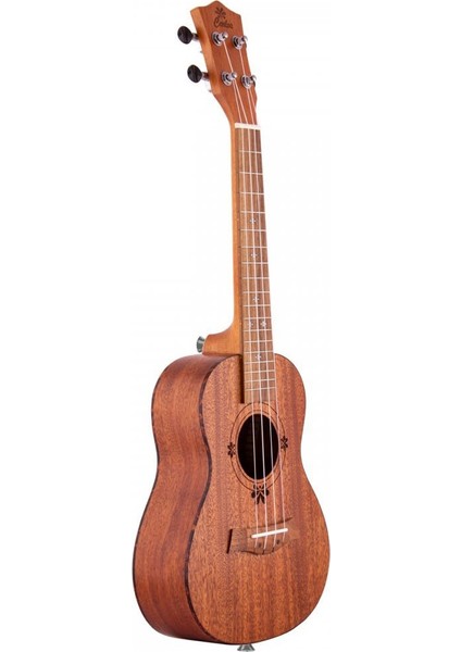 U520C Concert Ukulele fiyatları