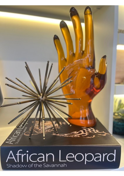 Amber Reçine El Dekoratif Obje modelleri