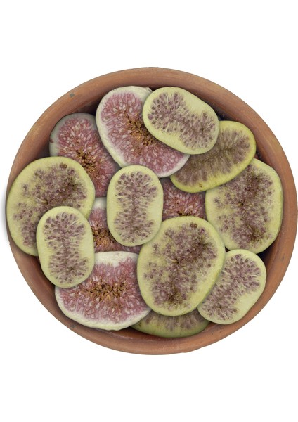 Dondurularak Kurutulmuş Incir - 15 gr fiyatları
