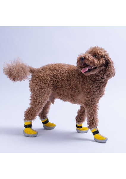 Sarı Airmesh Fileli Hava Alabilen Köpek Ayakkabısı-Köpek Patiği modelleri