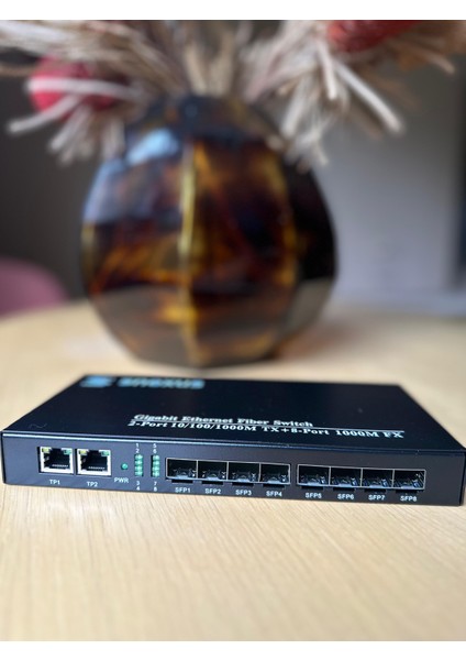 8 Port Sfp Fiber Omurga Switch modelleri