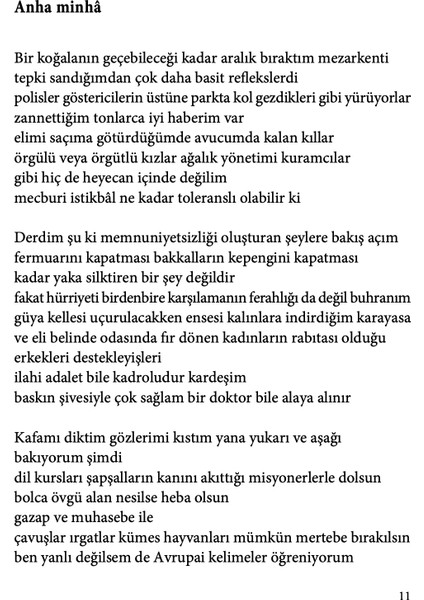 Kış Algını - İlker Şaguj