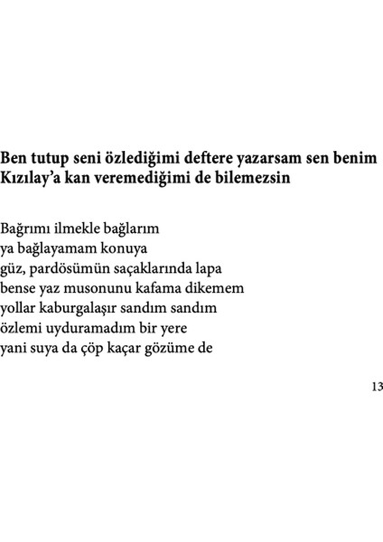 Kış Algını - İlker Şaguj