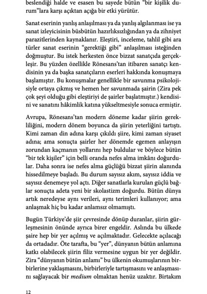 Dünyaya Saldıran Şair - Hakan Arslanbenzer