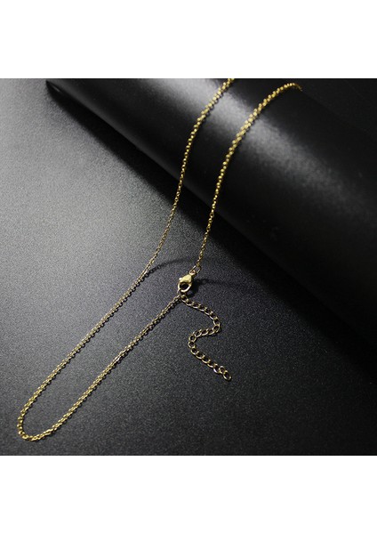 Kadınlar Için Zarif, Şık, Paslanmaz Çelikten Yapılmış Altın Kalp Kolye Ucu (Yurt Dışından) fiyatları